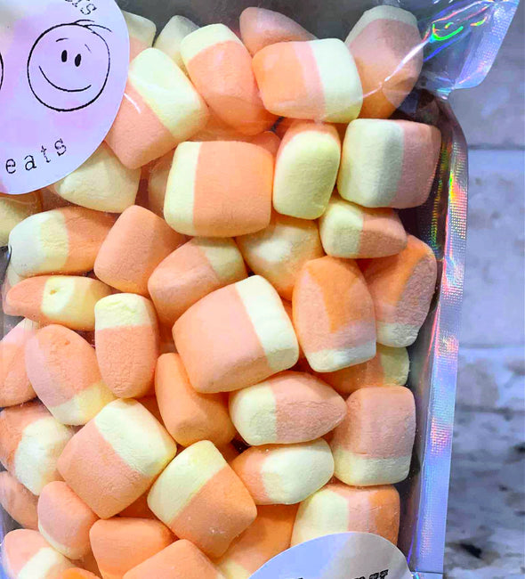 Freeze Dried Corny Candy Mallows - Two Brothers Treats