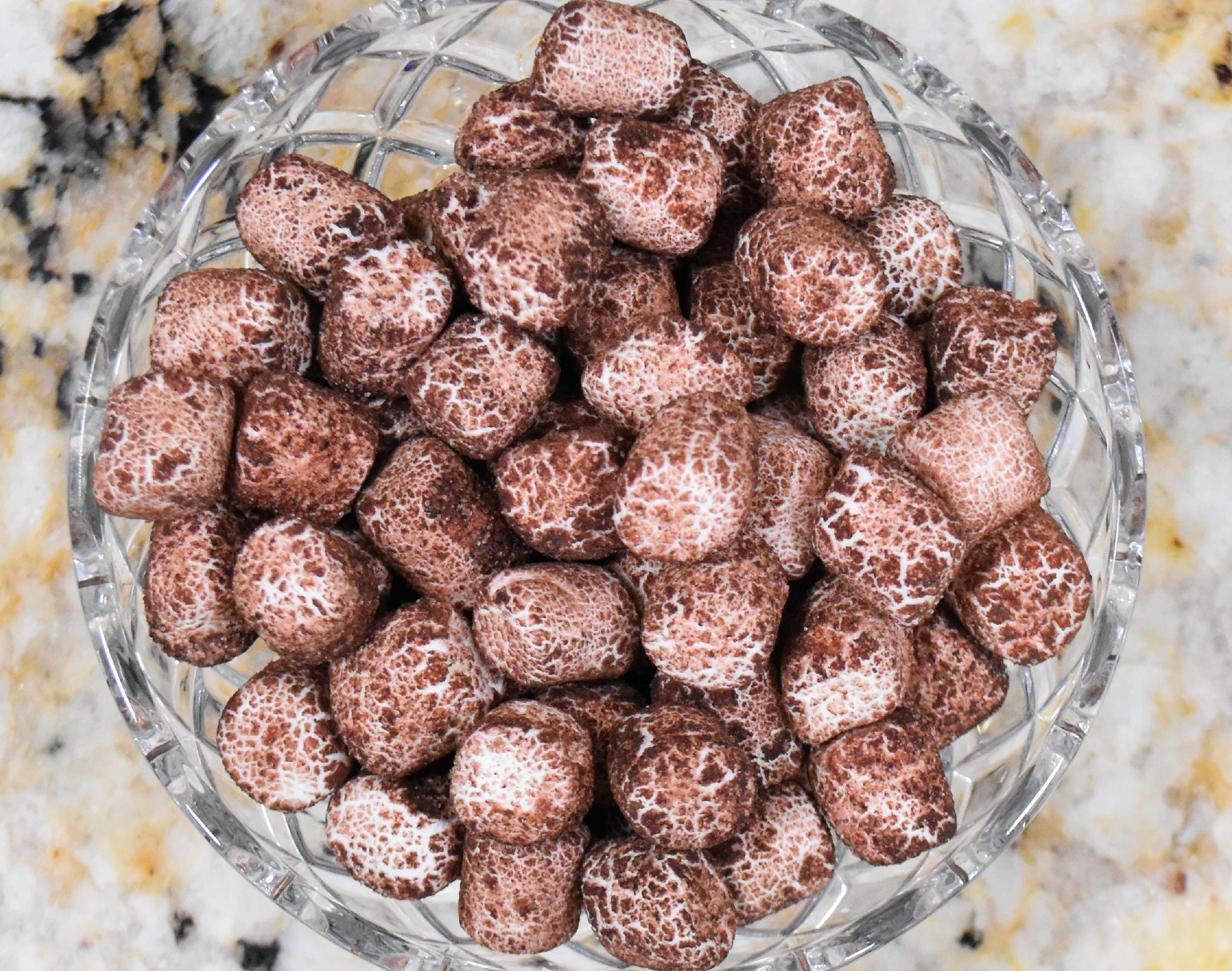 freeze-dried-dark-chocolate-